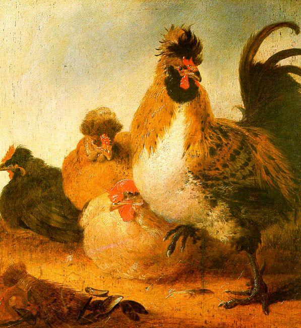 Aelbert Cuyp Rooster Hens France oil painting art